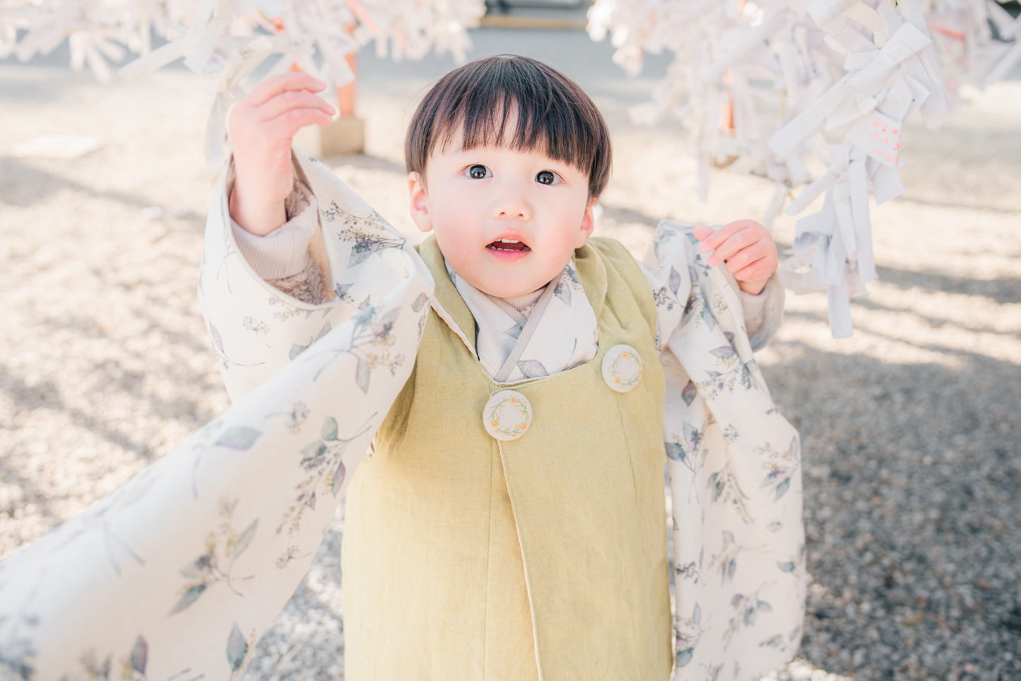 3歳 男の子 七五三着物&リバーシブル被布「北欧ボタニカル」