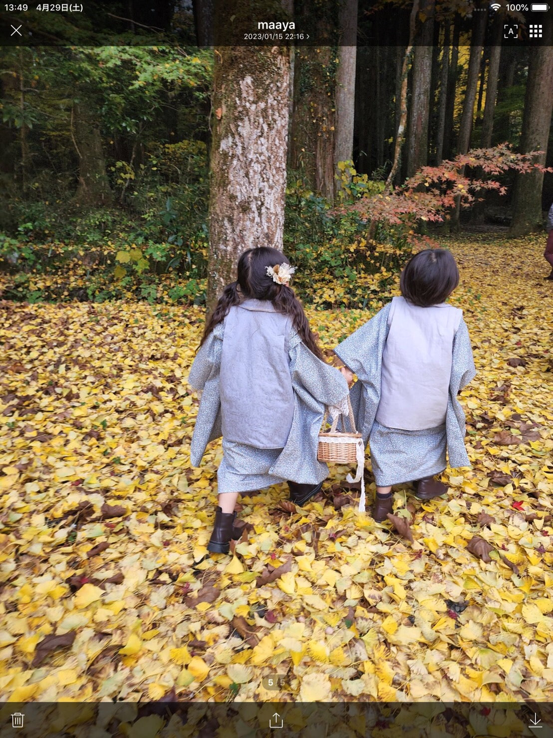 3歳 男の子 レンタル着物「10泊11日」753(Greyリバティ)