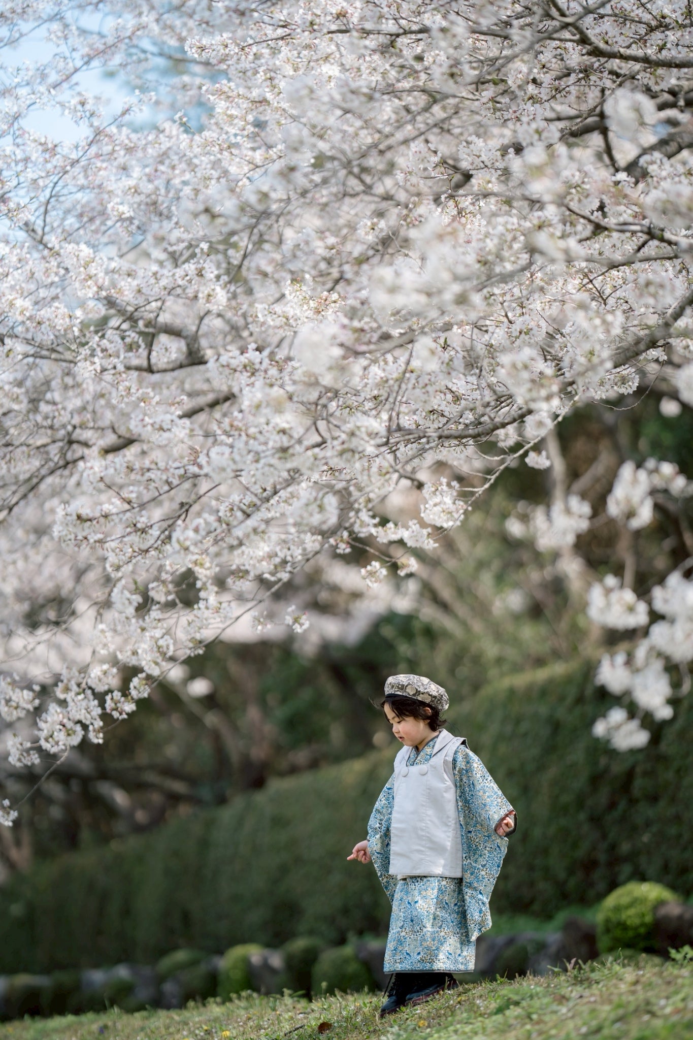 3歳 男の子 レンタル着物「10泊11日」753(Blueリバティ)