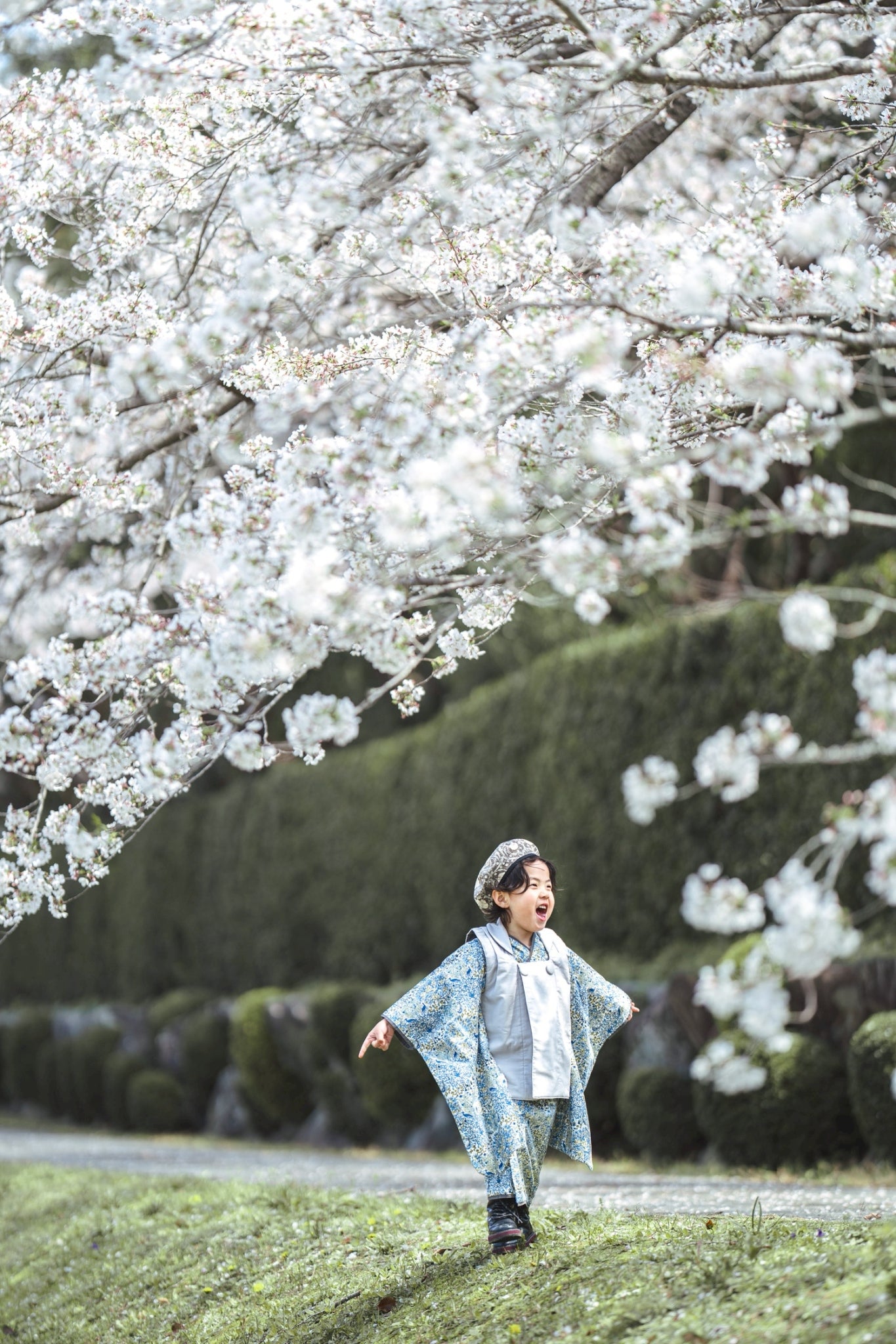 3歳 男の子 レンタル着物「10泊11日」753(Blueリバティ)