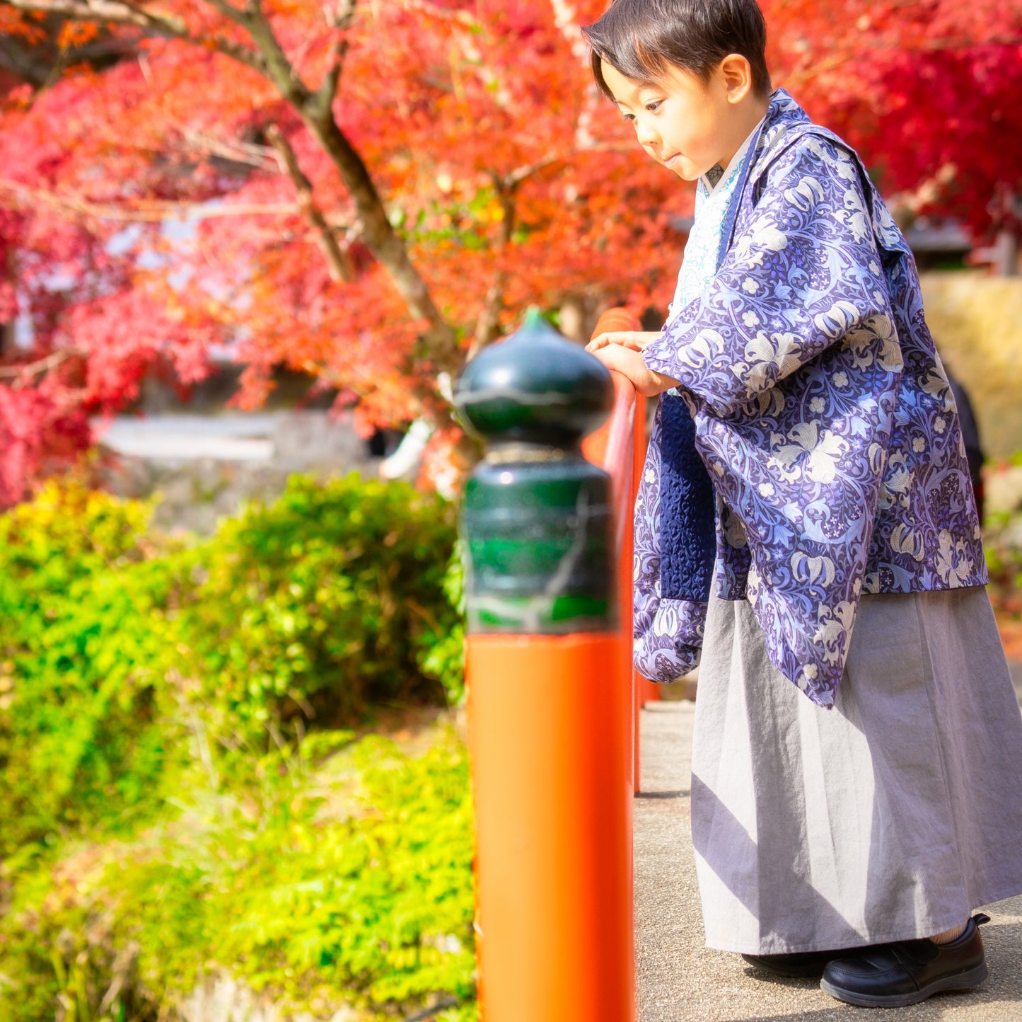 5歳 男の子 レンタル着物「10泊11日」リバーシブル羽織 袴(モリス ゴールデンリリー)